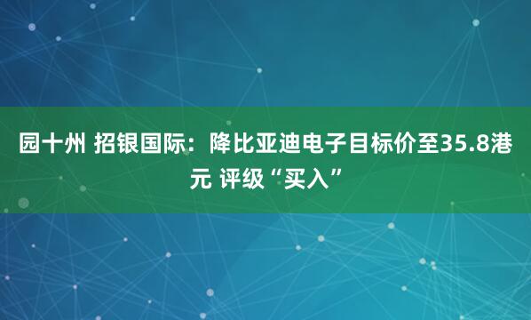 园十州 招银国际：降比亚迪电子目标价至35.8港元 评级“买入”